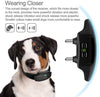 DOG CARE Dog Training Collar Receiver, TC05 Rechargeable Shock Collar Receiver, Waterproof Training Collar with Adjustable Collar Dog (10lbs-100lbs) (Remote Need to be Purchased Seperately) - BESTMASCOTA.COM
