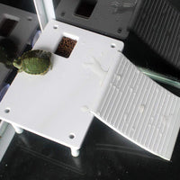 OMEM - Plataforma de secado de tortugas con filtro combinado (derecha) para tortuga y reptil, para acueductos flotantes de las islas y tanques de tierra - BESTMASCOTA.COM