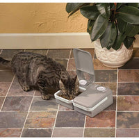Alimentador automático de mascotas PetSafe , Blanco - BESTMASCOTA.COM