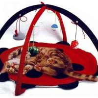 Centro de actividad para gatos Petty Love House con bolas de juguete, ratones colgantes y mucho más, para que ayudes a los gatos a hacer ejercicio y mantenerse activos, el mejor de los juguetes para gatos en Amazon - BESTMASCOTA.COM