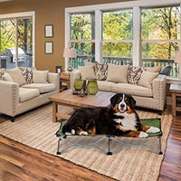 Carlson Pet Products - Cama portátil para mascotas, color verde - BESTMASCOTA.COM