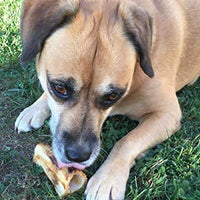 Lilly elección del Perro huesos para agresivo masticadores con – fabricado en los Estados Unidos de médula ósea – Natural América zacate FED Meaty Masticar Treats mejor para pequeño a grande Perros - BESTMASCOTA.COM