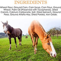 Ginger Ridge Snax - Manoplas para caballo - BESTMASCOTA.COM