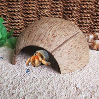 Coco Shell Hut hábitat Natural Hideout para pescado, lagartos, arañas, Hermit Crabs, reptiles, Hámsters orgánico no tóxico Hideout - BESTMASCOTA.COM