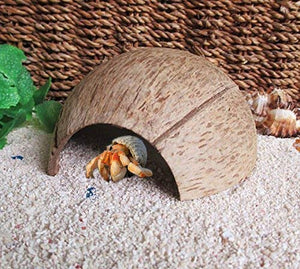 Coco Shell Hut hábitat Natural Hideout para pescado, lagartos, arañas, Hermit Crabs, reptiles, Hámsters orgánico no tóxico Hideout - BESTMASCOTA.COM