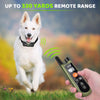 DOG CARE Dog Training Collar Dog Training Collar with Remote, 3 Modes, Rechargeable Dog Training Collar for Small Medium Large Dogs, 1000ft Remote Range, Safe & Humane - BESTMASCOTA.COM