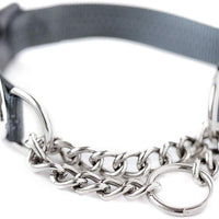 Collar de entrenamiento Mighty Paw, collar Martingale, calidad premium, limitado, collar cincha, collar reflectante para perros - BESTMASCOTA.COM