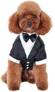 Kuoser - Camisa para perro, para cachorro o mascota, con corbata negra, ideal para bodas - BESTMASCOTA.COM