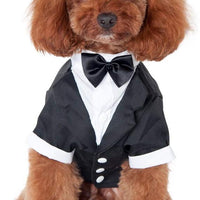 Kuoser - Camisa para perro, para cachorro o mascota, con corbata negra, ideal para bodas - BESTMASCOTA.COM