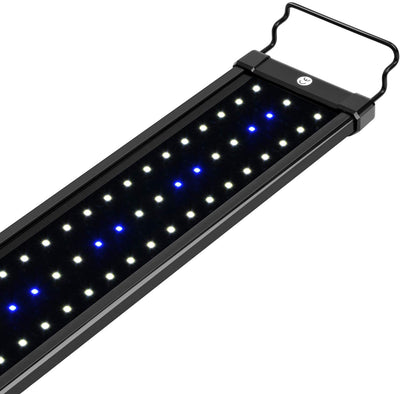 NICREW ClassicLED Aquarium Light, Fish Tank Light with Extendable Brackets, White and Blue LEDs - BESTMASCOTA.COM