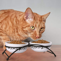 Y YHY Cuencos de cerámica para gatos y mascotas, cuencos de agua o alimentos de 312 ml, platos dobles para gatos, regalo para gato, color blanco - BESTMASCOTA.COM