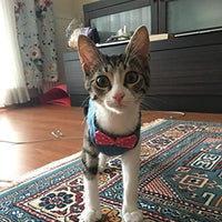 Stock Show - Chaleco arnés para gatos y perros con correa a juego con un bonito lazo, correa desmontable Reteo estilo británico arnés para cachorros medios, perros y gatos - BESTMASCOTA.COM