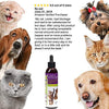 UroMAXX Urinaria Tract, Kidney & Bladder Fórmula para gatos y perros 6oz - BESTMASCOTA.COM