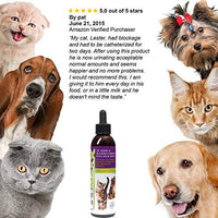 UroMAXX Urinaria Tract, Kidney & Bladder Fórmula para gatos y perros 6oz - BESTMASCOTA.COM