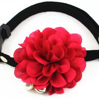 PetFavorites - Collar de corbata para mascotas, gato con colgante de campana, para mascotas, gatos - BESTMASCOTA.COM