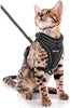 SCIROKKO Arnés y correa para gatos – Arnés ajustable a prueba de escape para cachorro para exteriores con correa reflectante 3M, malla suave con clip de metal chaqueta caminante para gatito conejo - BESTMASCOTA.COM