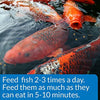 API POND FISH Alimento para estanque de pescado - BESTMASCOTA.COM