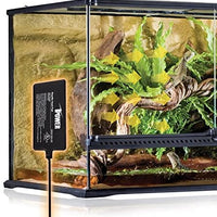 iPower - Juego de almohadilla de calor y termostato digital para reptiles - BESTMASCOTA.COM