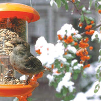 Esschert Design fb118 de plástico de girasol, Small - BESTMASCOTA.COM