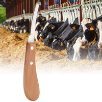 Dibiao - Herramienta de recorte de acero al carbono con forma de hoja recta, para ganado y caballo - BESTMASCOTA.COM
