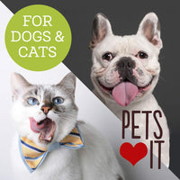 Oxyfresh Advanced Unflavored Pet Dental Spray - Stops The Toughest Dog, Cat, Pet Bad Breath: Best Way to Fight Plaque, Control Tartar and Keep Gums Healthy. No Brushing Pet Dental Solution. 3oz. - BESTMASCOTA.COM