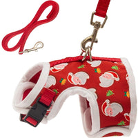 PUPTECK - Juego de arnés con correa para gato, chamarra de paseo ajustable a prueba de escape, para gatitos, cachorros - BESTMASCOTA.COM
