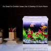 DADYPET Betta - Kit de iniciación para acuarios de acuario (1 galón con iluminación LED, plantas, guijarros, bomba - BESTMASCOTA.COM