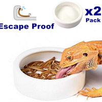 Cuenco de agua para alimentos reptiles – 2 platos de gusano lagarto Gecko cerámico para mascotas, cuencos de gusanos de comida, para camaleón barbudo, cangrejo ermitaño, Dubia, roca, reptil, críquet antiescape, mini alimentador de reptiles - BESTMASCOTA.COM