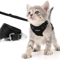 Eagloo - Juego de arnés y correa para gato, a prueba de escape, con correa 2 en 1 y cinturón de seguridad para coche, arnés ajustable para gatos, chaleco de malla suave con correa reflectante para gatito, conejo, cachorro - BESTMASCOTA.COM