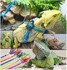 Serdokntbig - Arnés ajustable para tortuga de reptiles (varios colores) - BESTMASCOTA.COM