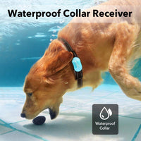 Collar de entrenamiento para perros – 1000 pies recargable collar de choque con mando a distancia, 3 modos de entrenamiento, 0 ~ 99 niveles de pitido y vibración y choque, no daña el cuello de choque impermeable para perros, apto para perros pequeños y me - BESTMASCOTA.COM