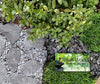 Piedras de laja para jardín en miniatura, hadas de jardín, modelo Railroad y Wargaming., gris - BESTMASCOTA.COM