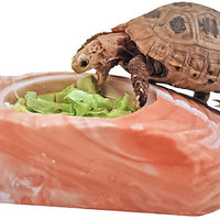 Tortuga Treat – Cactus .25 oz - BESTMASCOTA.COM