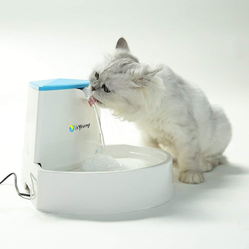 isYoung Fuente para mascotas, fuente de agua automática para perros y gatos, de 2,5 l - BESTMASCOTA.COM