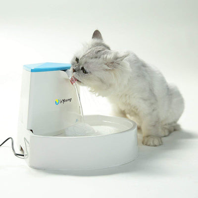 isYoung Fuente para mascotas, fuente de agua automática para perros y gatos, de 2,5 l - BESTMASCOTA.COM