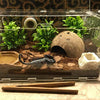 Coco Shell Hut hábitat Natural Hideout para pescado, lagartos, arañas, Hermit Crabs, reptiles, Hámsters orgánico no tóxico Hideout - BESTMASCOTA.COM