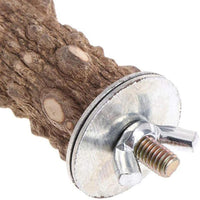 PIVBY - Soporte de madera para loros y pájaros (3 unidades) - BESTMASCOTA.COM