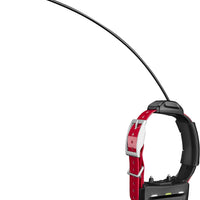 Garmin TT 15 de mini perro dispositivo - BESTMASCOTA.COM