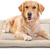 Invenho - Cama para perro, cómoda, suave, antideslizante, lavable a máquina, almohadilla para perro, cama para perros y gatos, color beige - BESTMASCOTA.COM