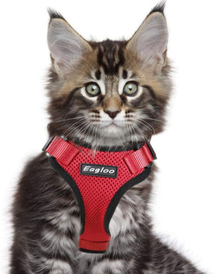 Eagloo Arnés de gato a prueba de escape, arnés de malla suave ajustable para gato con correa reflectante de metal para caminar chaqueta cómoda para mascotas Gatito cachorro conejo - BESTMASCOTA.COM