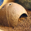 PIVBY - Hidropajos de coco, herradura de cangrejo natural de Hemmit Coco Hut Lizard, escalador de caracol y cueva de escondite para acuario (2 unidades) - BESTMASCOTA.COM