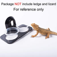 Juego de 100 vasos de repuesto para alimentos y agua Gecko Ledge de Gecko, vasos de repuesto, cuenco para gusanos de reptiles, comederos para Lizard Leopard Gecko Crested Gecko y otras mascotas pequeñas - BESTMASCOTA.COM