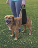 All Seasons Arnés elevador para perro para cirugía postoperatoria de piernas débiles traseras - BESTMASCOTA.COM