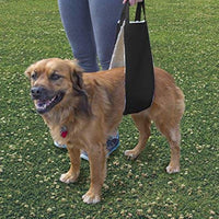 All Seasons Arnés elevador para perro para cirugía postoperatoria de piernas débiles traseras - BESTMASCOTA.COM