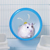 POPETPOP Silent Hamster Wheel-Pets Running Sports - Rueda de ejercicio para correr, hámster Rat Gerbil Silent Spinner (azul) - BESTMASCOTA.COM