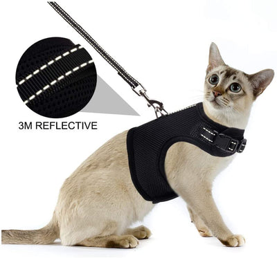 PUPTECK Cat Leash Reflective Escape Proof Harness - Black Soft Mesh Adjustable - Best for Walking - BESTMASCOTA.COM