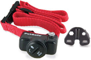 PetSafe Deluxe - Receptor de collar de perro ultraligero - BESTMASCOTA.COM