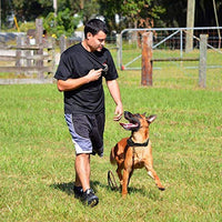 Mockins - Collar para perros con vibración de pitido y control remoto electrónico 100% resistente a la lluvia – Collar de distancia de 990 pies para perros ... - BESTMASCOTA.COM