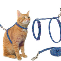 PUPTECK - Arnés para gato con correa, correa suave ajustable con diseño de moda - BESTMASCOTA.COM