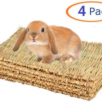 Alfombrilla de césped para conejo, juguete para masticar, tejido para cobaya, chinchilla, ardilla, hámster, rata, gato, perro y animal pequeño, 4 unidades - BESTMASCOTA.COM